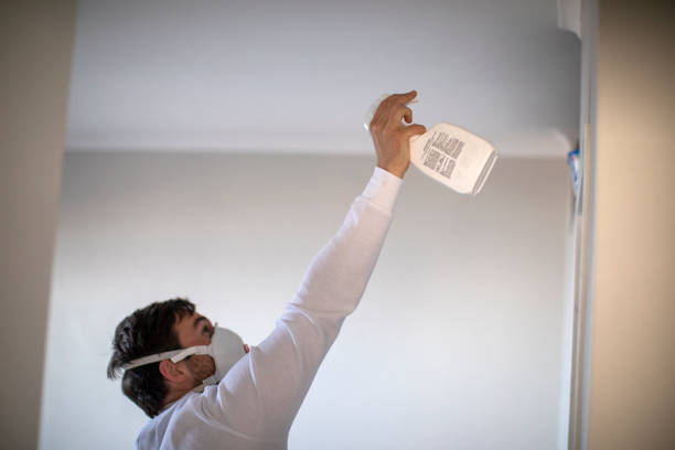 Best Attic Mold Remediation in Green Springs, OH