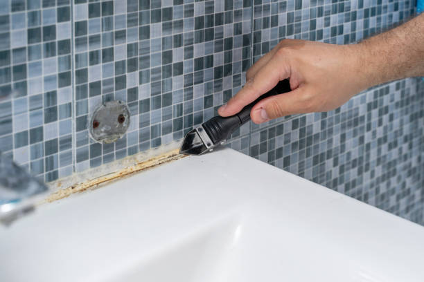 Best Mold Testing and Inspection Services in Green Springs, OH