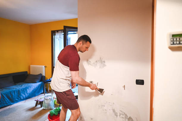Best HVAC Mold Remediation in Green Springs, OH